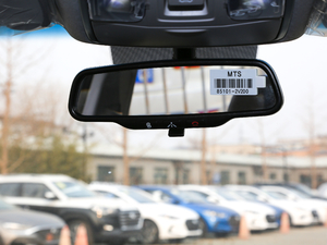 2019280TGDi pxσ(q)(lin) (gu)V g