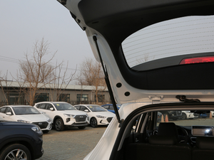 2019280TGDi pxσ V g