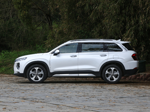 2019Ĵ_ 380 TGDi TOP ԄŞ w^