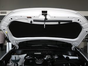 2019280TGDi pxσ(q)r(sh)а VI 