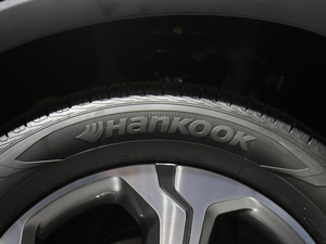 2019Ĵ_ 380 TGDi DLX ԄӃ ^