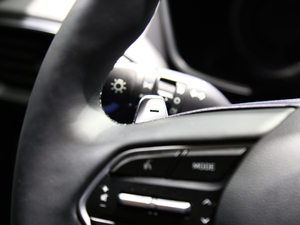 2019Ĵ_(d) 380 TGDi DLX ԄӃ(q) п؅^(q)