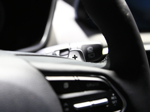 2019Ĵ_(d) 380 TGDi DLX ԄӃ(q) п؅^(q)