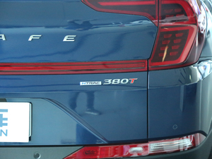 2019Ĵ_ 380 TGDi TOP ԄŞ ^