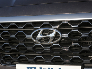 2019Ĵ_(d) 380 TGDi DLX Ԅ(dng)(q) (x)(ji)^