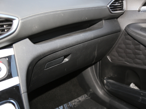 2019Ĵ_ 380 TGDi DLX ԄӃ g