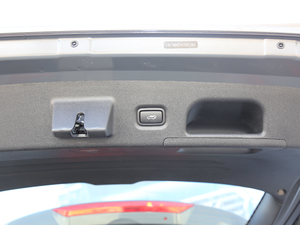 2019Ĵ_ 380 TGDi DLX ԄӃ g