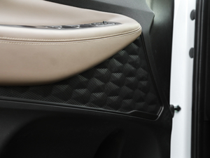 2019Ĵ_ 380 TGDi TOP ԄŞ g