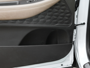 2019Ĵ_ 380 TGDi TOP ԄŞ g