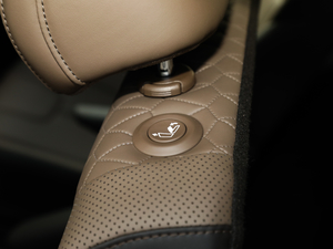 2019Ĵ_ 380 TGDi TOP ԄŞ g