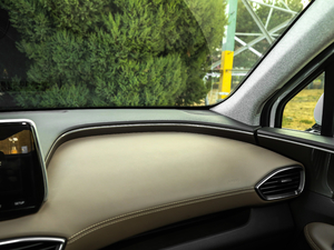 2019Ĵ_ 380 TGDi TOP ԄŞ g