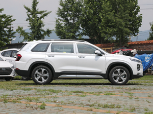 2019Ĵ_ 380 TGDi DLX ԄӃ w^