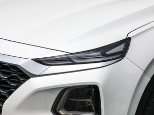 2019Ĵ_ 380 TGDi DLX ԄӃ ^