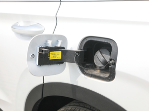 2019Ĵ_ 380 TGDi DLX ԄӃ w