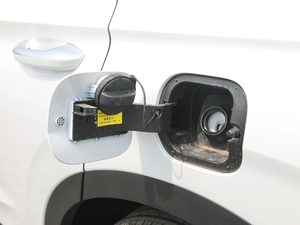 2019Ĵ_ 380 TGDi DLX ԄӃ ^