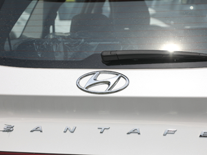 2019Ĵ_ 380 TGDi DLX ԄӃ ^