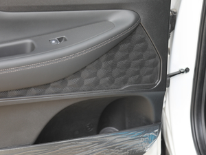 2019Ĵ_(d) 380 TGDi DLX Ԅ(dng)(q) g