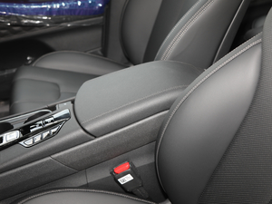 2019Ĵ_(d) 380 TGDi DLX Ԅ(dng)(q) 