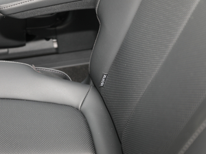 2019Ĵ_ 380 TGDi DLX ԄӃ g