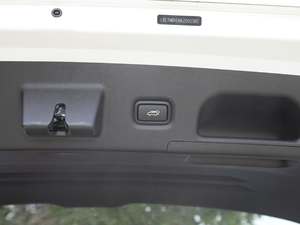 2019Ĵ_ 380 TGDi DLX ԄӃ g