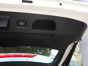 2019Ĵ_ 380 TGDi DLX ԄӃ g