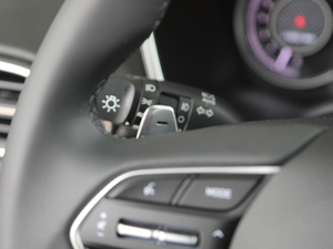 2019Ĵ_ 380 TGDi DLX ԄӃ п؅^