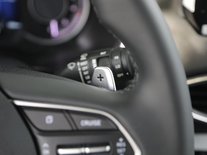 2019Ĵ_ 380 TGDi DLX ԄӃ п؅^