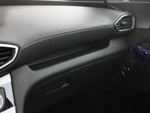 2019Ĵ_ 380 TGDi DLX ԄӃ п؅^