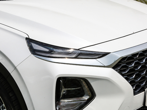 2019Ĵ_ 380 TGDi DLX Ԅ ^