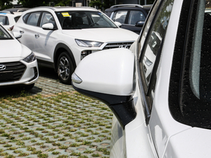 2019Ĵ_ 380 TGDi DLX Ԅ ^