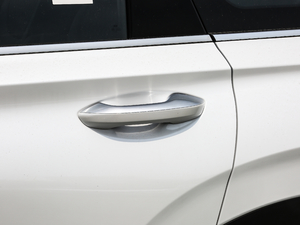 2019Ĵ_ 380 TGDi DLX Ԅ ^