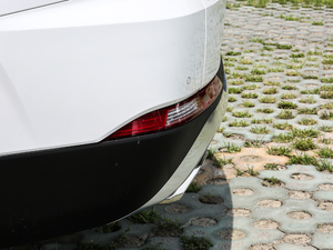 2019Ĵ_ 380 TGDi DLX Ԅ ^