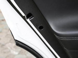 2019Ĵ_ 380 TGDi DLX Ԅ g