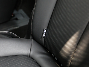 2019Ĵ_ 380 TGDi DLX Ԅ g