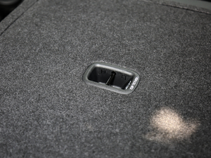 2019Ĵ_ 380 TGDi DLX Ԅ g