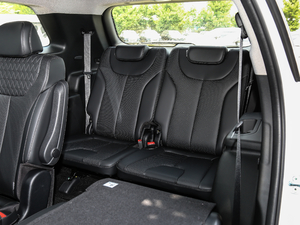 2019Ĵ_ 380 TGDi DLX Ԅ g