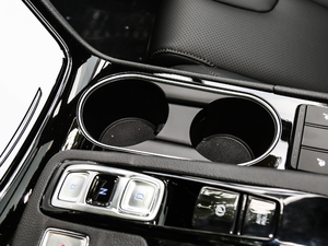 2019Ĵ_ 380 TGDi DLX Ԅ g