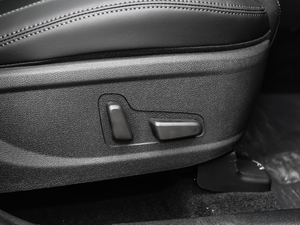 2019Ĵ_ 380 TGDi DLX Ԅ g