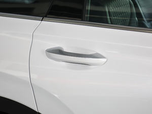 2019Ĵ_ 380 TGDi GLS ԄӃA ^