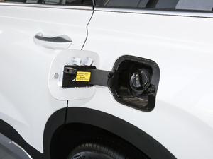 2019Ĵ_ 380 TGDi GLS ԄӃA w