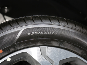 2019Ĵ_ 380 TGDi GLS ԄӃA ݆̥ߴ