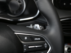 2019Ĵ_ 380 TGDi GLS ԄӃA п؅^