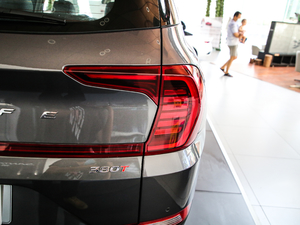 2019Ĵ_ 380 TGDi GLS ԄӃA ^