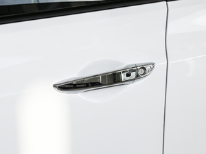 2019款1.8L 自动智能型纪念款 国V 主驾门拉手