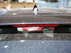 2020GLS ǽݰ (x)(ji)^