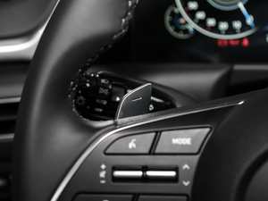 2020270TGDi DCTӢ п؅^