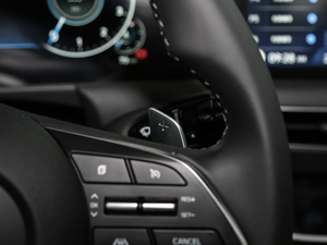 2020270TGDi DCTӢ п؅^