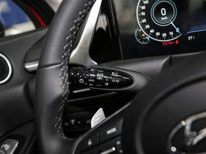 2020270TGDi DCTӢ п؅^