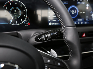 2020270TGDi DCTӢ п؅^