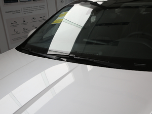 2020270TGDi DCTӢ ˢ